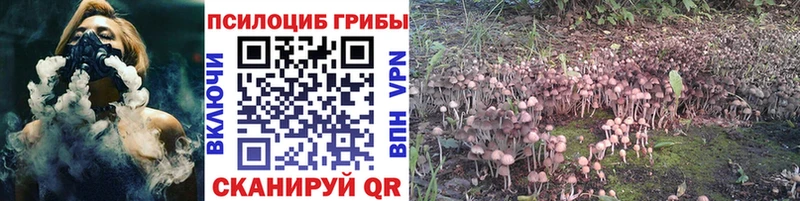 Псилоцибиновые грибы Magic Shrooms  что такое наркотик  Саранск 