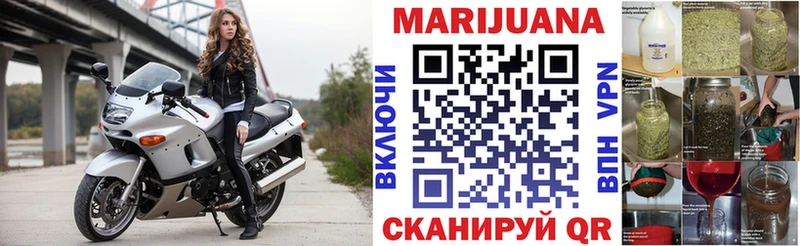 где найти наркотики  Саранск  Каннабис марихуана 